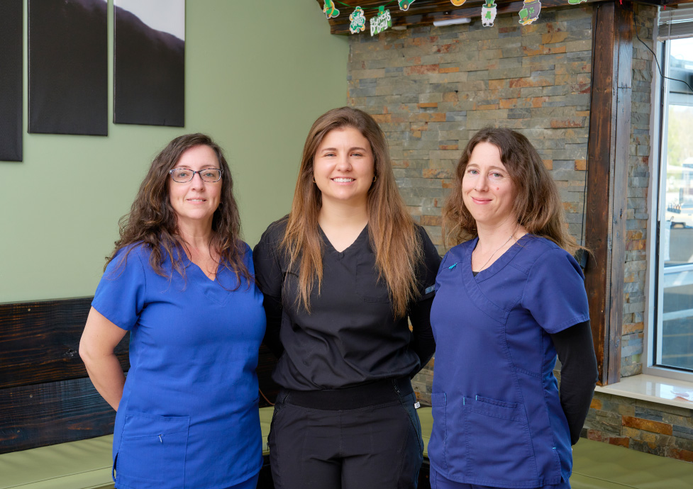 DVM team in Verona VA at Veterinary Emergency Services