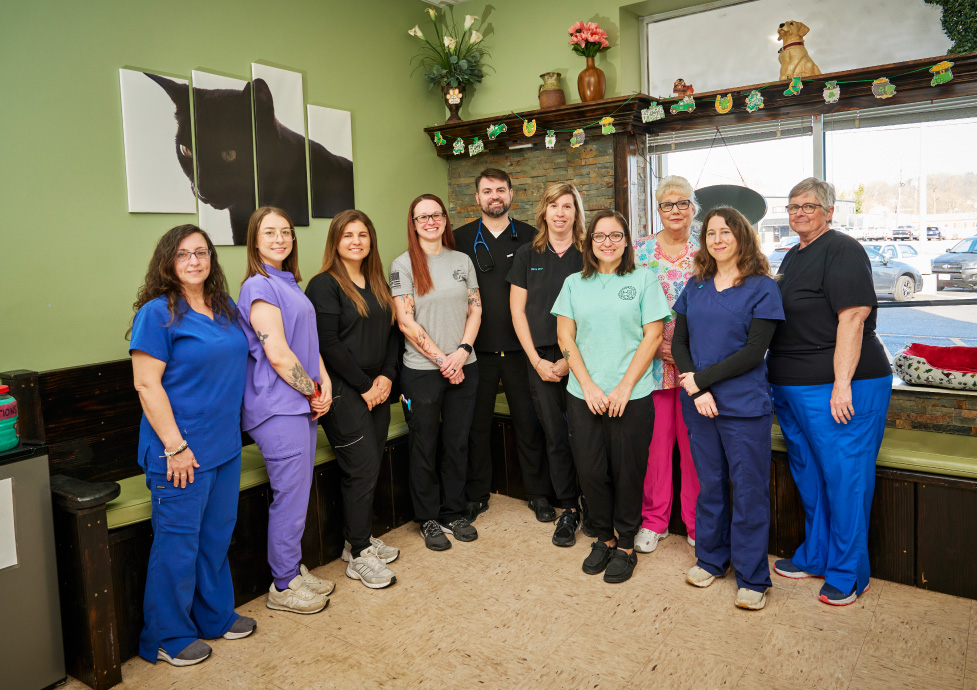 Veterinary Emergency Services team posing for group photo in lobby