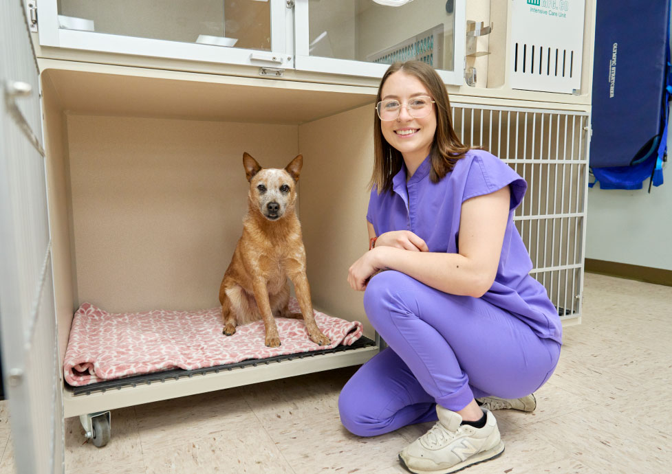 Veterinarian at Veterinary Emergency Services sitting and smiling with dog